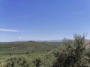 Darmarochori Erhöhtes Grundstück mit Berg- und Meerblick Grundstück kaufen